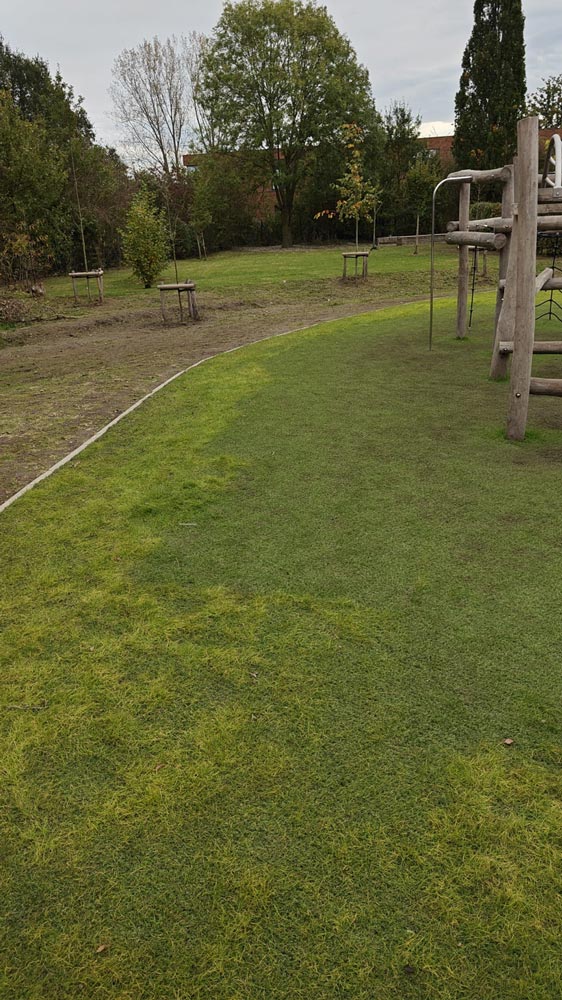Hybride Gras: Een Primeur in België bij Freinetschool De Tinteltuin in Zoutleeuw